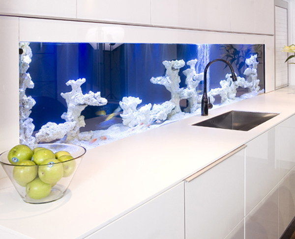 aquarium-in-kitchen-idea aquarium in kitchen idea