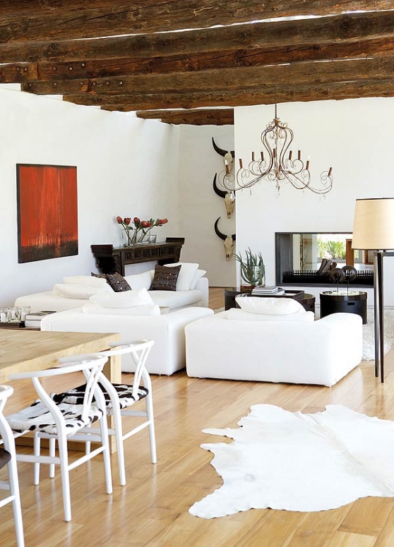 contemporary nature living room