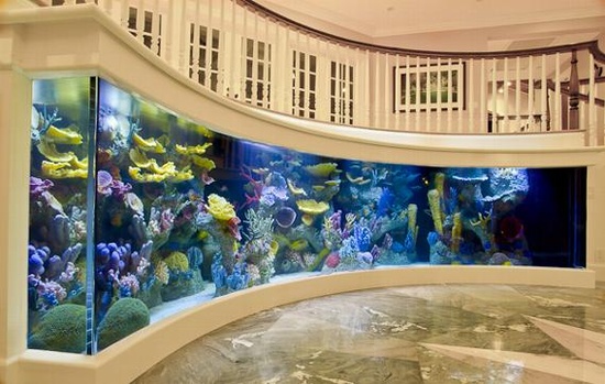 entry_aquarium entry aquarium