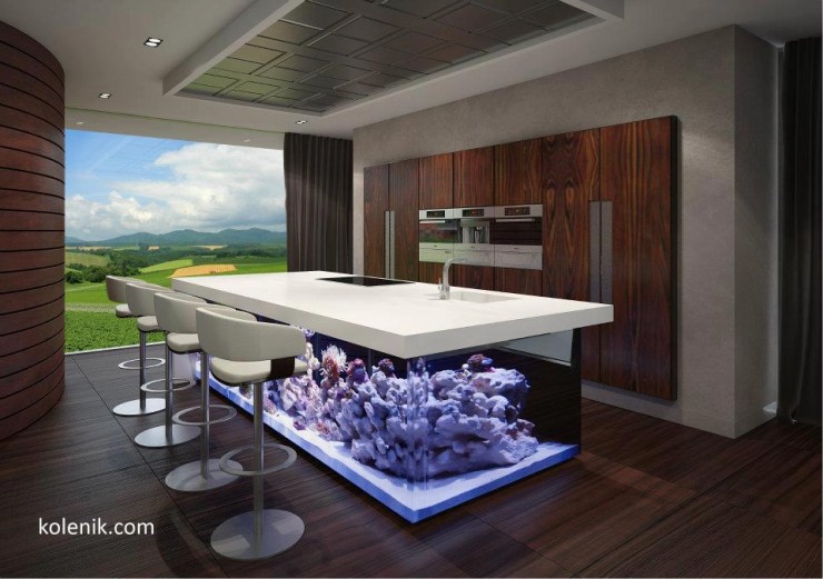kitchen_aquarium_island kitchen island aquarium