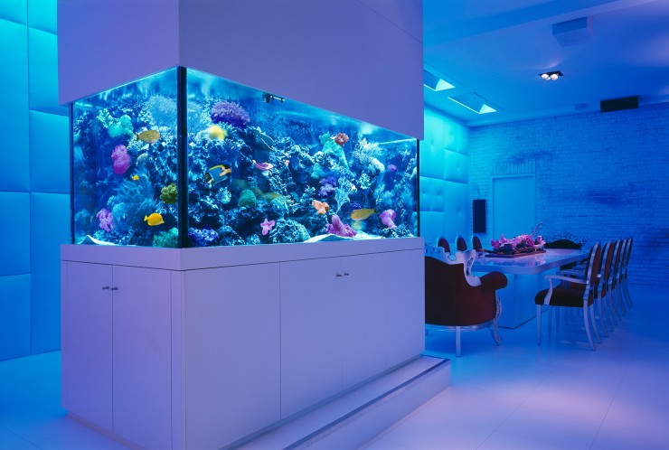 room_3_decorating_ideas_with_aquarium room 3 decorating ideas with aquarium