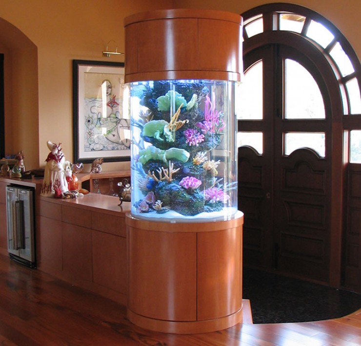 room_6_decorating_ideas_with_aquarium room 6 decorating ideas with aquarium