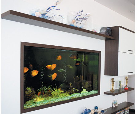 room_7_decorating_ideas_with_aquarium room 7 decorating ideas with aquarium