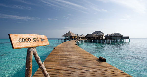 Coco_Palm_Bodu_Hithi_Maldives_12 paradise hotel Coco Palm Bodu Hithi Maldives 12