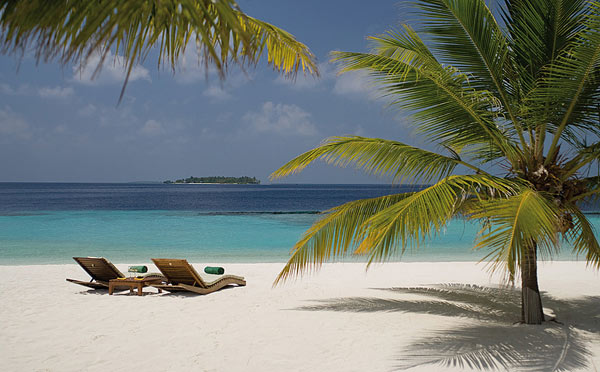 Coco_Palm_Bodu_Hithi_Maldives_15 paradise hotel Coco Palm Bodu Hithi Maldives 15
