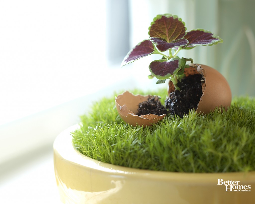 easter_decorating_ideas_7 unique easter home decorating idea