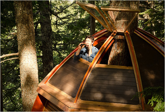 secret_tree_house_the_hemloft_6 secret tree house the helmloft by joe Allen 6